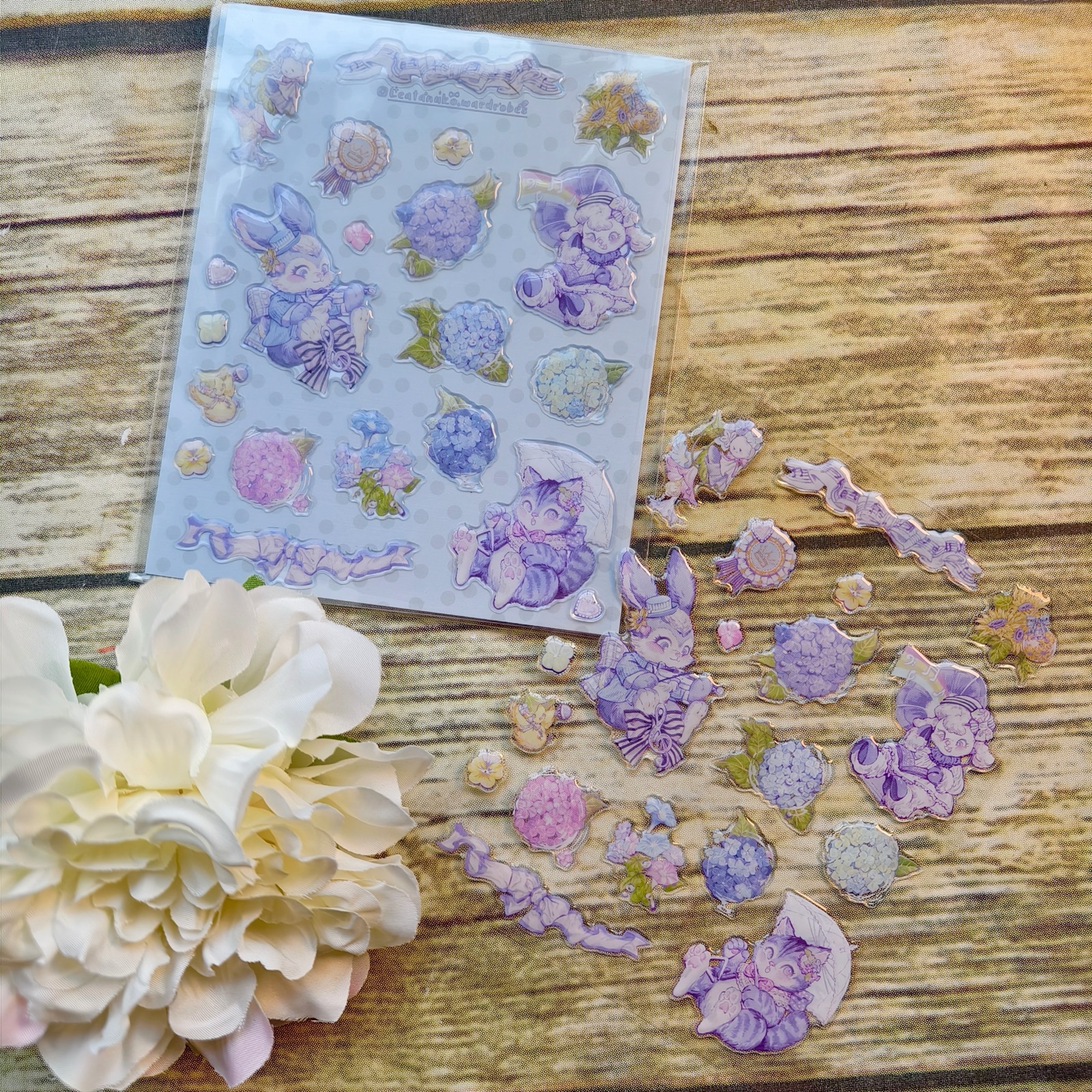 MEITU_20250126_095905399